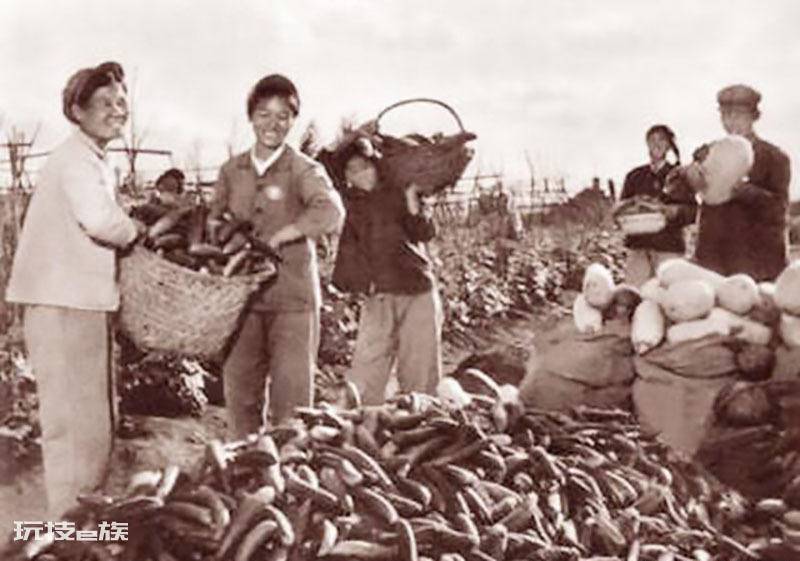 北大仓是指我国哪个省(如今为什么要将北大仓退耕还荒)-图片3